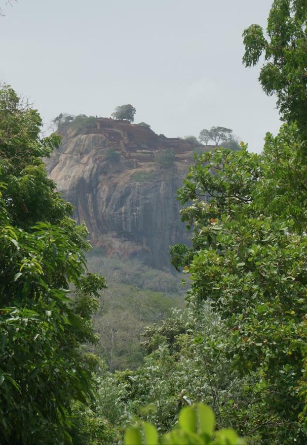 Organic Farm Wish Prabha Lake View Homestay Sigiriya Esterno foto